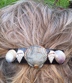 Shell Attack