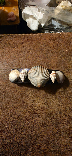 Shell Attack