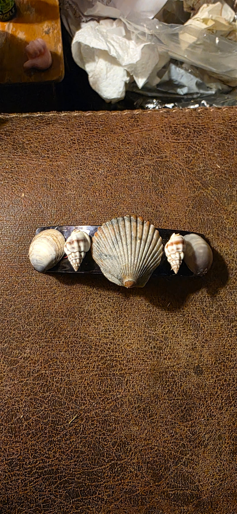 Shell Attack