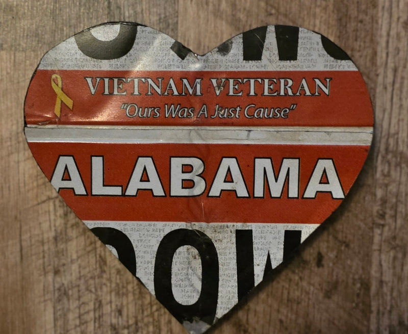 Vietnam Veteran